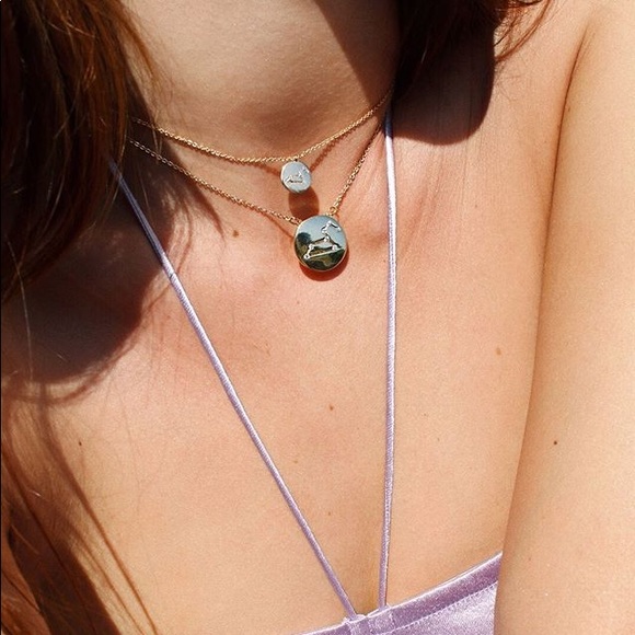 LAST ONE SALE Aries Zodiac Necklace - Picture 2 of 4